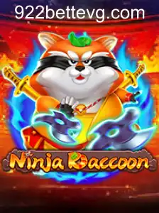 NinjaRaccoon